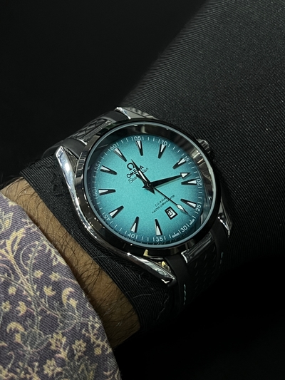 aqua terra_img_4
